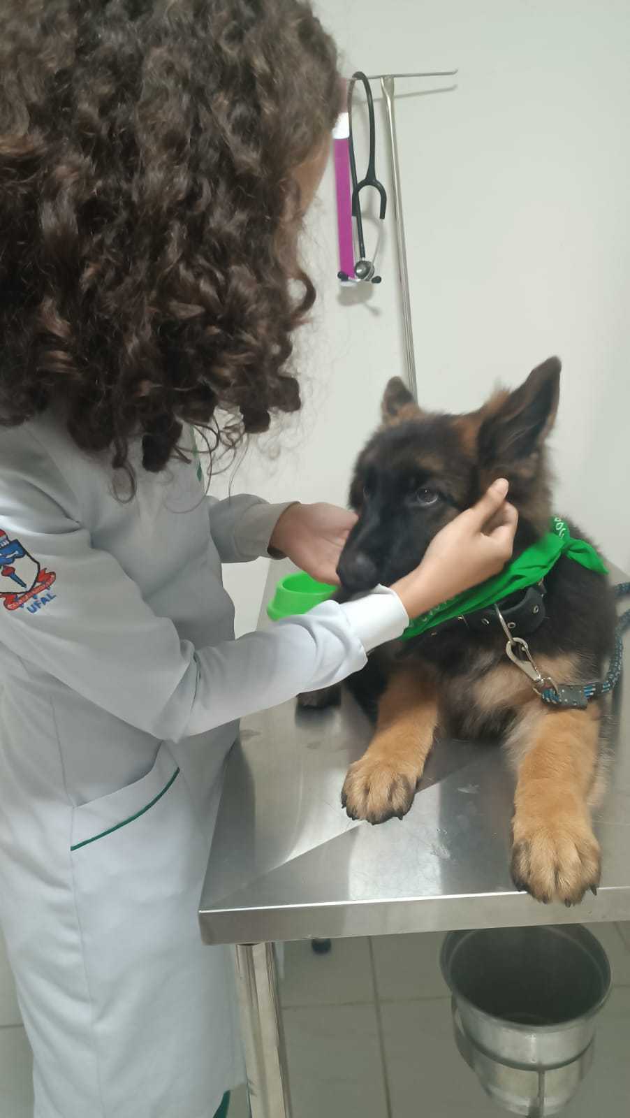 Foto da Galeria
