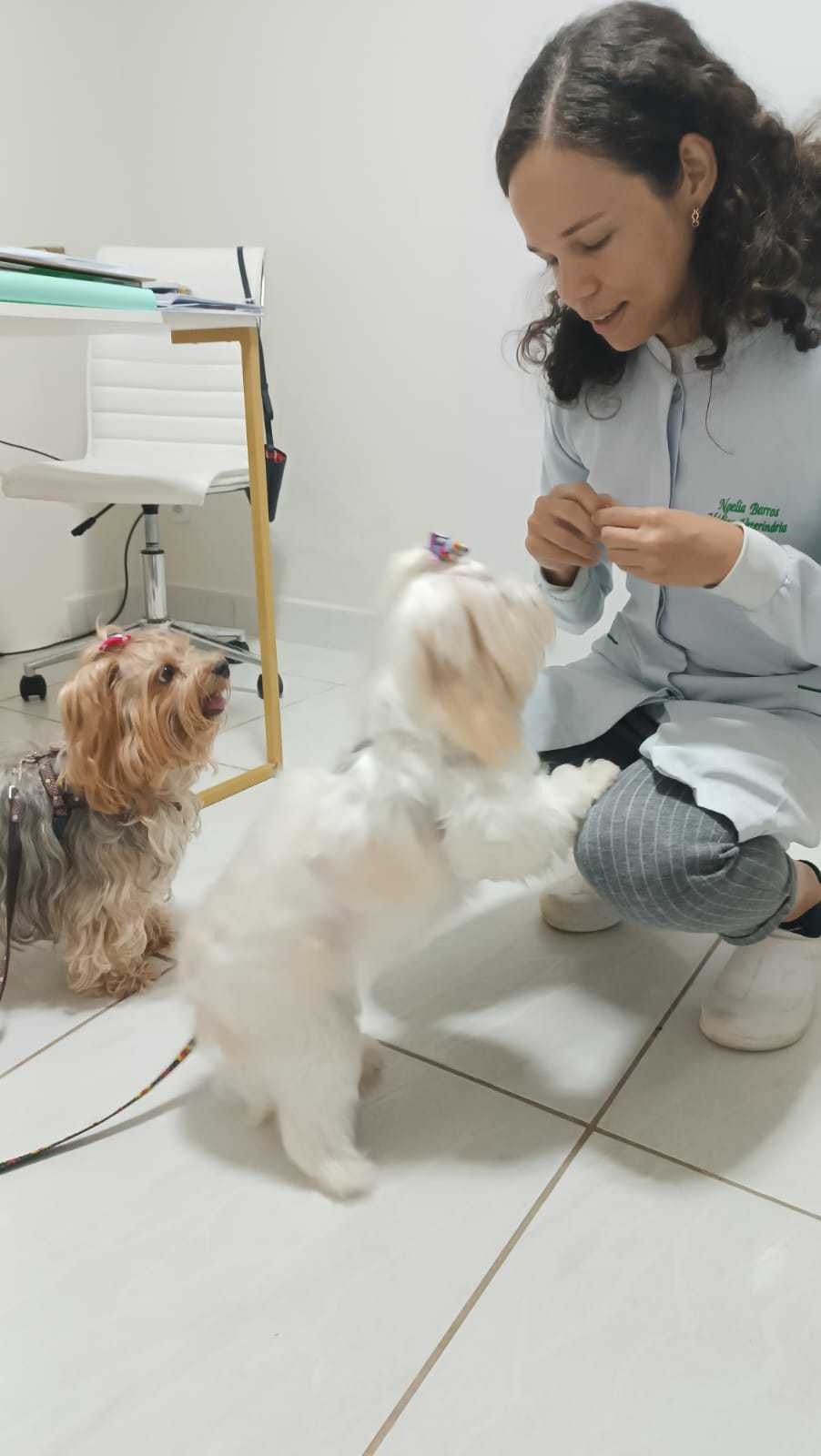 Foto da Galeria
